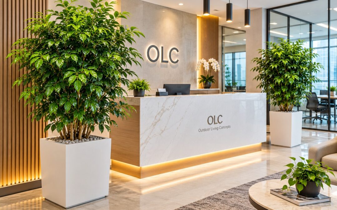 https://olc.com.my/